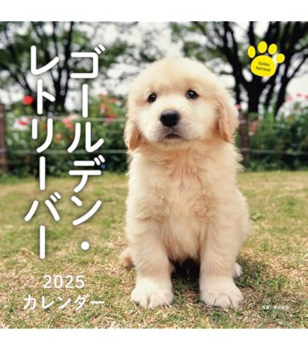 リアル】壁掛け ペット時計 かわいい ゴールデンレトリバー